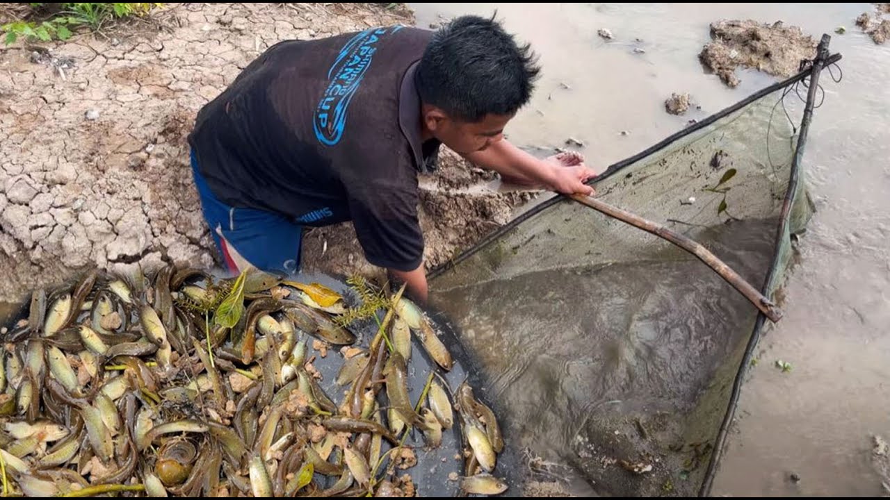 Secrets of Traditional Countryside Fishing - YouTube