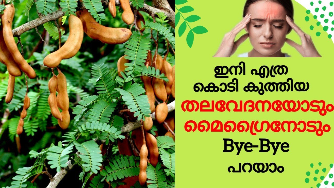 തലവേദന പെട്ടന്ന് മാറ്റിയെടുക്കാംMigraine Relief MalayalamHeadache