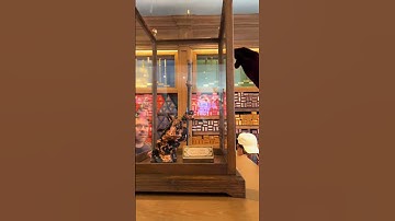 Cosme Acajor guided tour of every Wizarding World Wand