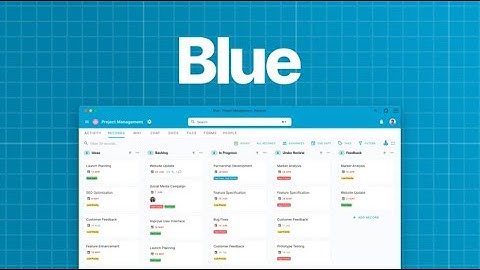 Blue Review: Best powerful project management system