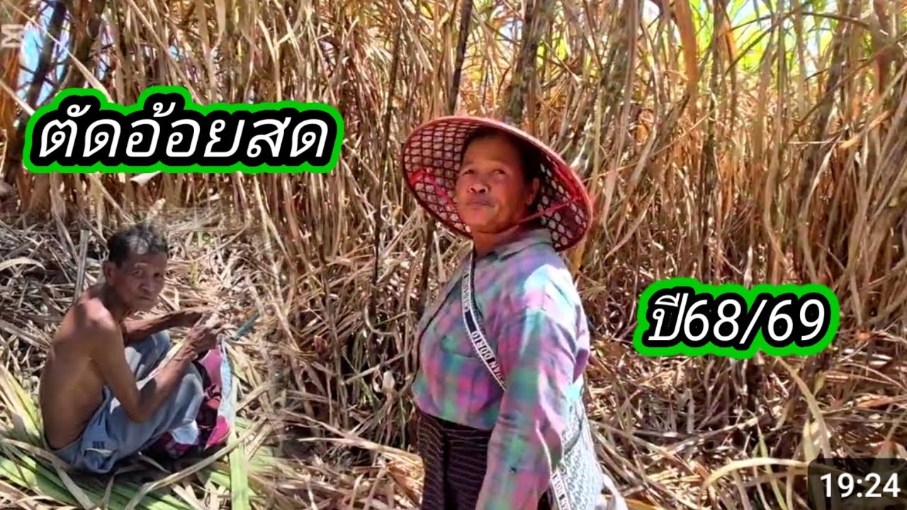 ตัดอ้อยปี68/69อ้อยสด มัด1.74฿ ทีบ้านบ่าวน้อย  21 กุมภาพันธ์ ค.ศ. 2026