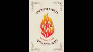 mix purim breslev  שירי ברסלב במיקס מטורף