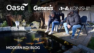 Modern Koi Blog #5854 - Jörg's remodeled 26,000 liter koi pond after leak