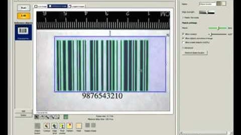 Inspector   Decision For Quality