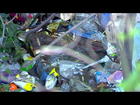 #რეალურისივრცე 22 აპრილი დედამიწის დღეა / ანტიდასავლური პროპაგანდა საქართველოში