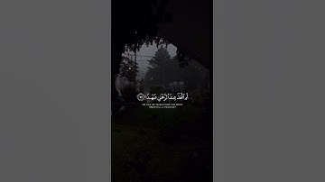 قران كريم|حالات واتساب|ماتيسر من"سورة مريم"الايه(٧٧-٨٢)القارئ وديع اليمني❤️