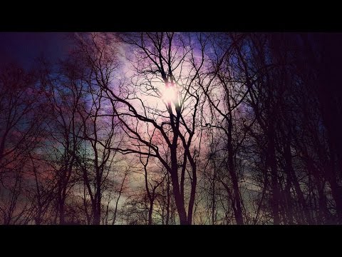 سماحة السيد هادي المدرسي تساؤلات حول الجنة