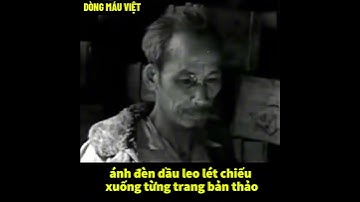 Bác Hồ Vĩ Đại Từ Những Việc Nhỏ Nhất