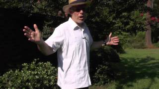 The Guayabera for Concealed Carry Profile