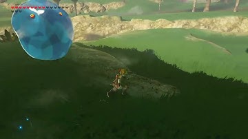 [DAY 754] of finding one korok seed everyday until Totk comes out