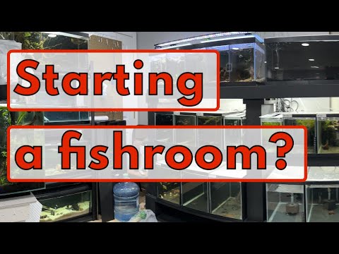 Tips on building