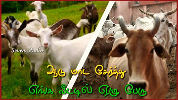 Kaadu Potta Kaadu || WhatsApp Status || A_R_Rahman