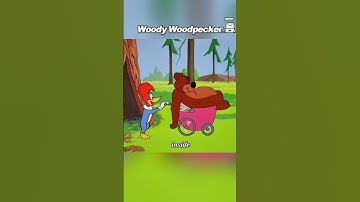 Do you know how bears hibernate?