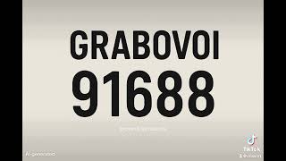 91688 grabovoi