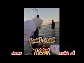 رحله صيد في بحر الشعيبة ابو زهره Fishing In Jeddah 