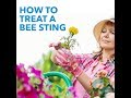 How To Treat A Bee Sting