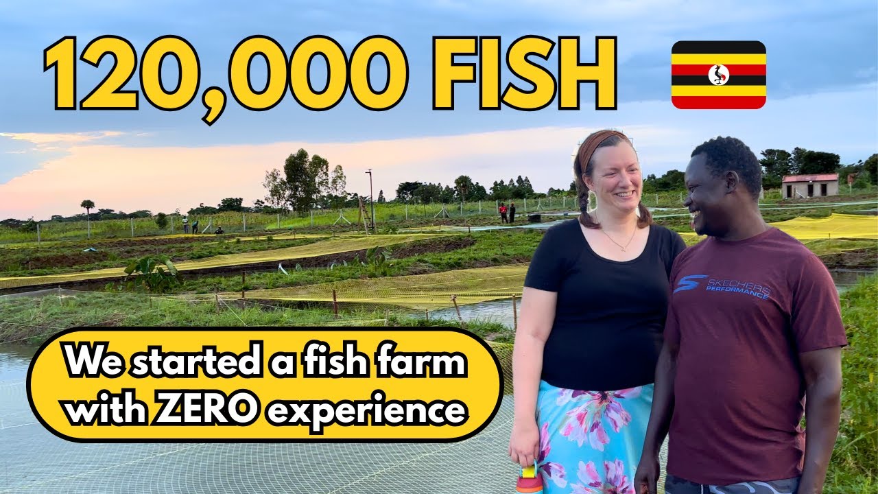 We Started a Fish Farm in Uganda with ZERO Experience! | Full Tour 🐟🐠🌍