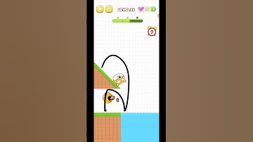 Save The Pets Level 26