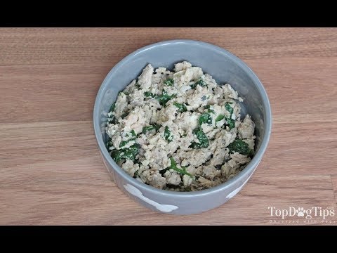 homemade-wet-dog-food-recipe-(healthy,-extremely-easy-to-make)