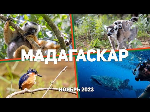 Путешествие по центру Мадагаскара и островам Мадагаскара. Что посмотреть.
