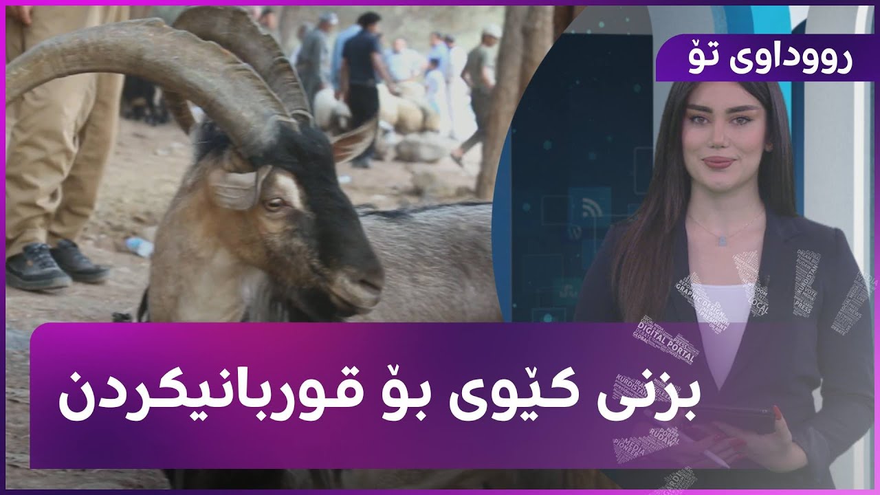 بزنی کێوی بۆ قوربانیکردن