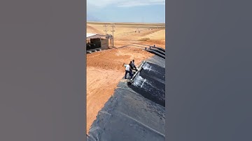 Brazil’s Genius Farming Hack!