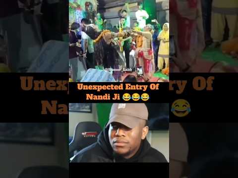 Unexpected Entry Of Nandi Ji Funnymemes Funnyshorts Funnyvideo Comedyvideo