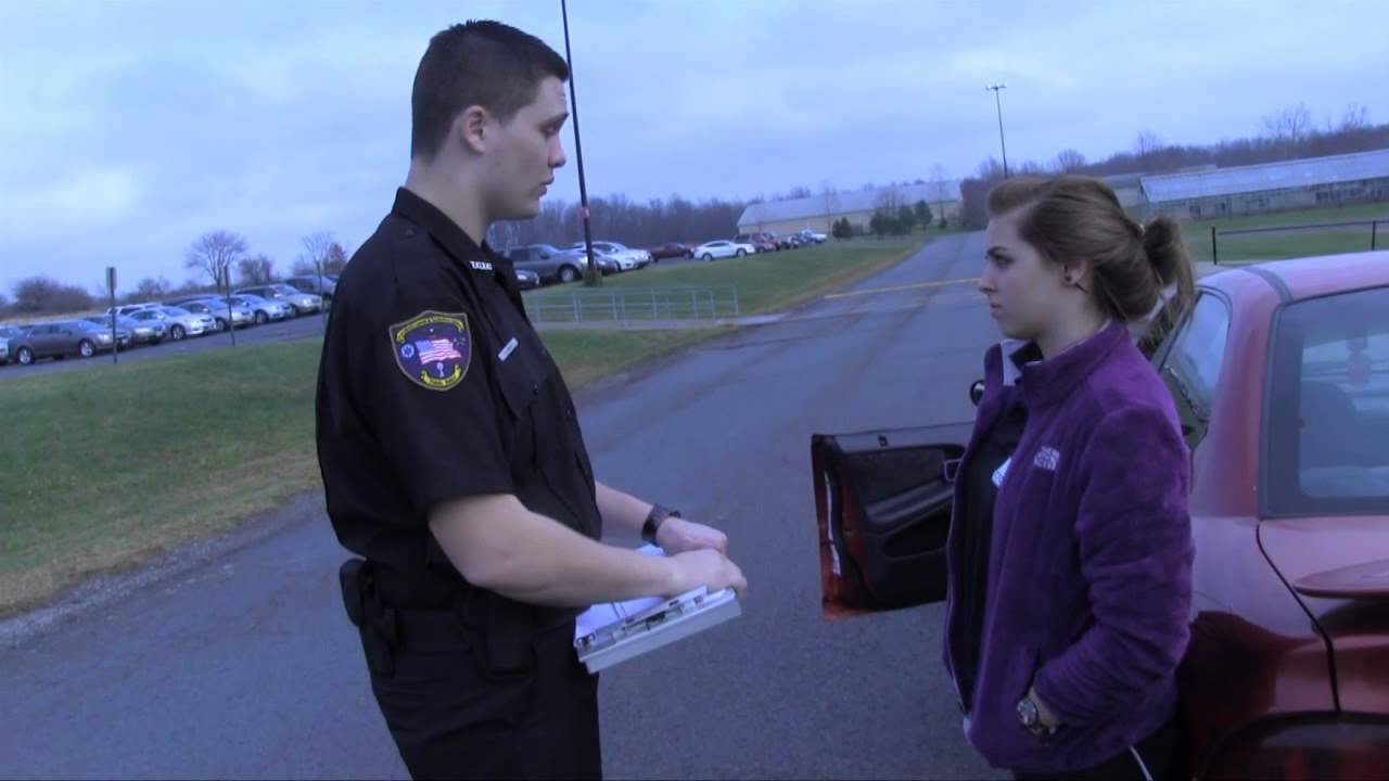 Vehicle Searches YouTube