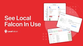 How to Use Local Falcon