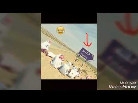 فيديو اغنية خراب خربنا بطيئ