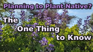 The One Thing You Must Know Before Planting Native