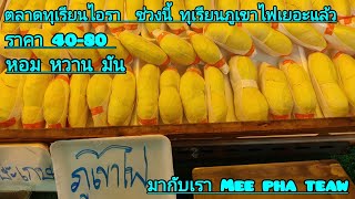 ตลาดไอยรา ถนนทุเรียน ภูเขาไฟ ราคาดี เริ่มที่ ขีดละ 40-80 ตามมากับเรา # ตลาดไอยรา#Mee pha teaw