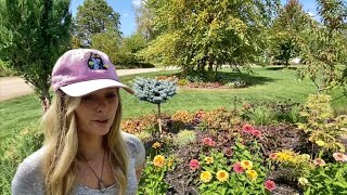 видео: Сентябрьский тур по саду! Посмотрите, как растения справляются с обилием солнца ☀️ и отсутствием ... картинка: Сентябрьский тур по саду! Посмотрите, как растения справляются с обилием солнца ☀️ и отсутствием ...