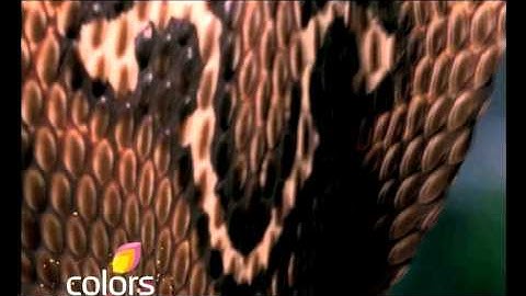Naagin: Coming Soon