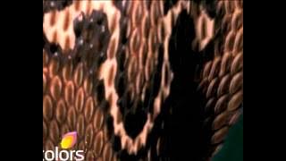 Naagin: Coming Soon