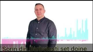 Sorin din Bărbulești set doine 2023