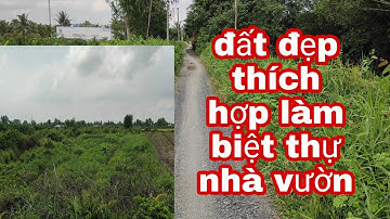 Bán đất thổ và vườn toạ lạc tại ấp 1 xã Tân Hòa- Bến lức- Long An