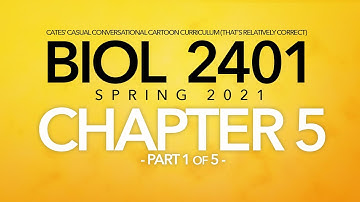 BIOL 2401 - Spring 2021 - Chapter 5 - Part 1