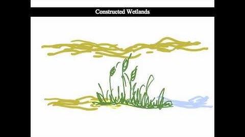 Acara SI 2012 2 minute video - ACWUS