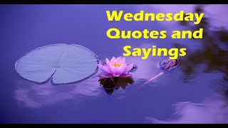 Wednesday Quotes and Sayings | Wednesday morning quotes | happy Wednesday quotes