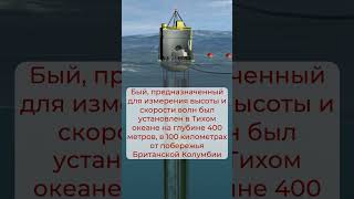 «Волны-убийцы»: как появляются самые страшные океанские волны