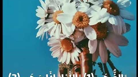 "فأما اليتيم فلا تقهر" سورة الضحى أجمل التلاوات💕