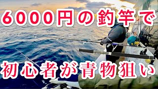 6000円のコスパロッドでジギング ！青物は釣れるのか？