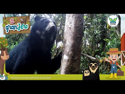 Conociendo algunos animales en peligro de extinción 🐻🐟 / El GranJero