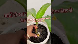 दिल से मानने वाले बहुत कम मिलते है #anmolthoughts #motivation #lifescience #youtubeshorts