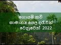 Goyam Kavi | ගොයමි කවි| by Janaki Sujeewa ( Janaki Academy) Orginal Music