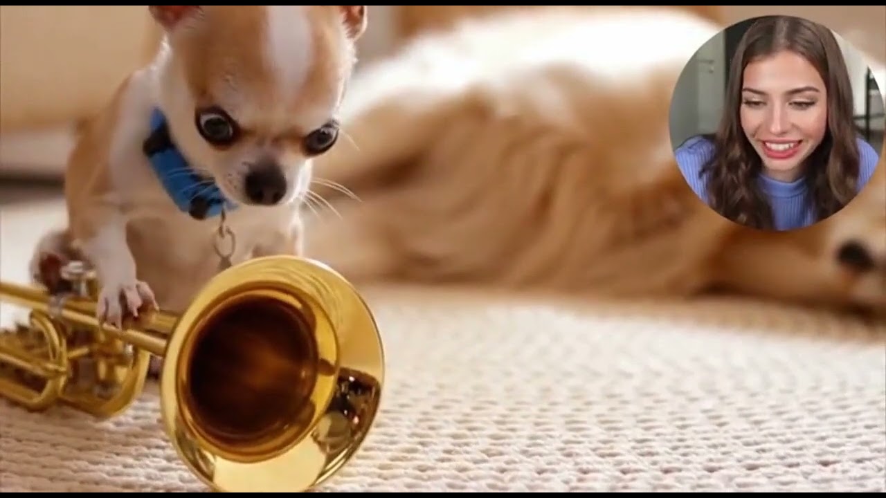 When your pup’s a pro at balloon booping! 🎈 