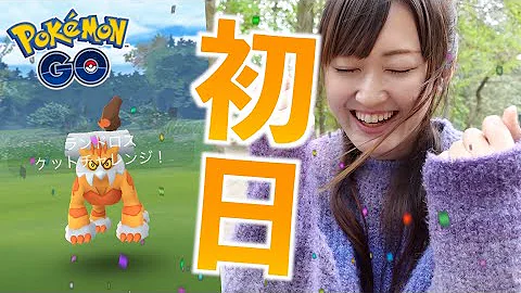 ポケモン 霊獣ランドロス