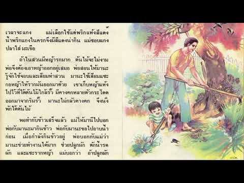 บทที่   2   ตามติดหนังสือ  #มานะมานี  หนังสือเรียนภาษาไทย  สำหรับเด็ก  ป.2  ในยุค 90