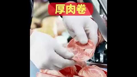 mini frozen meat slicer machine